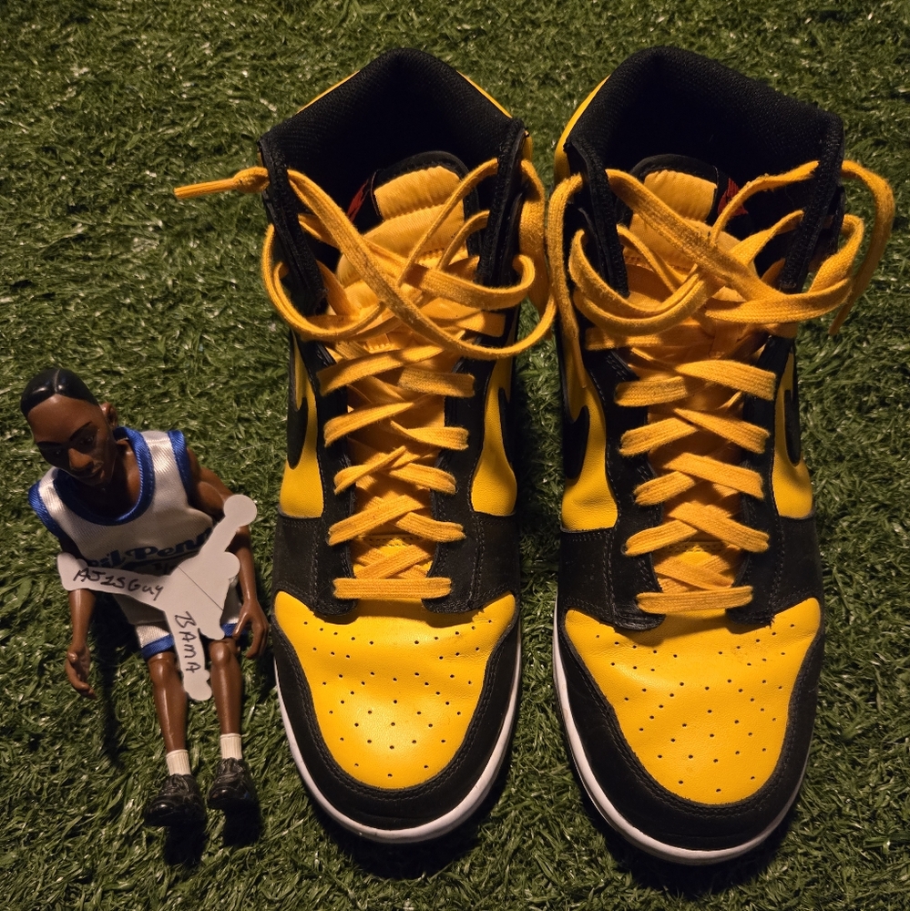 Nike Dunk High